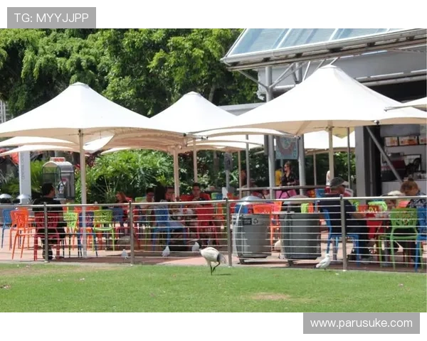 澳新娱乐九游：体验新奇与刺激相结合的完美旅程